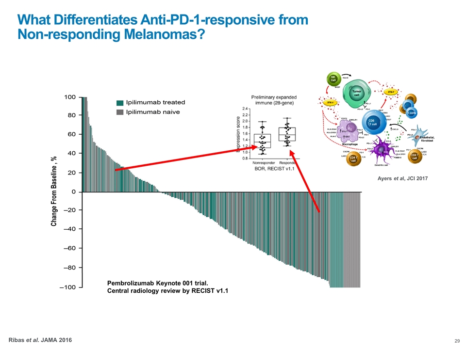 Slide 29