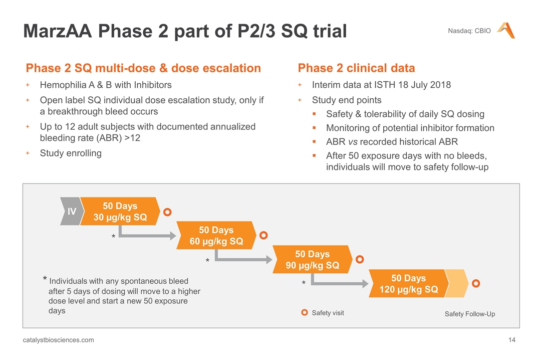 Slide 13