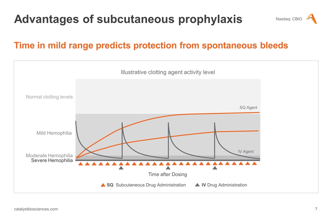 Slide 7