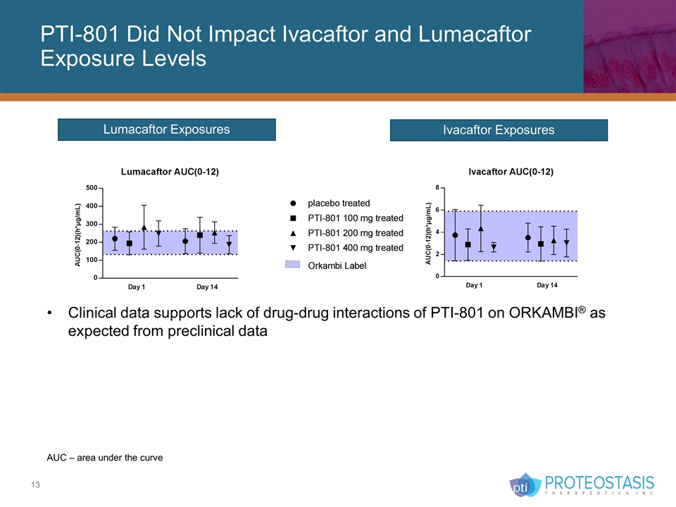 Slide 13