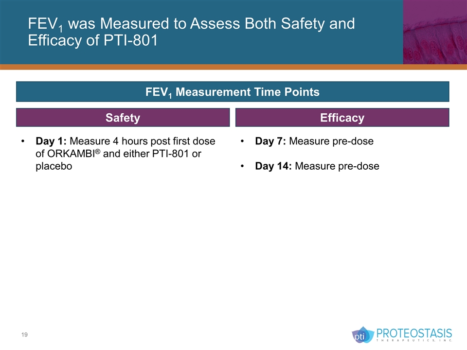 Slide 19