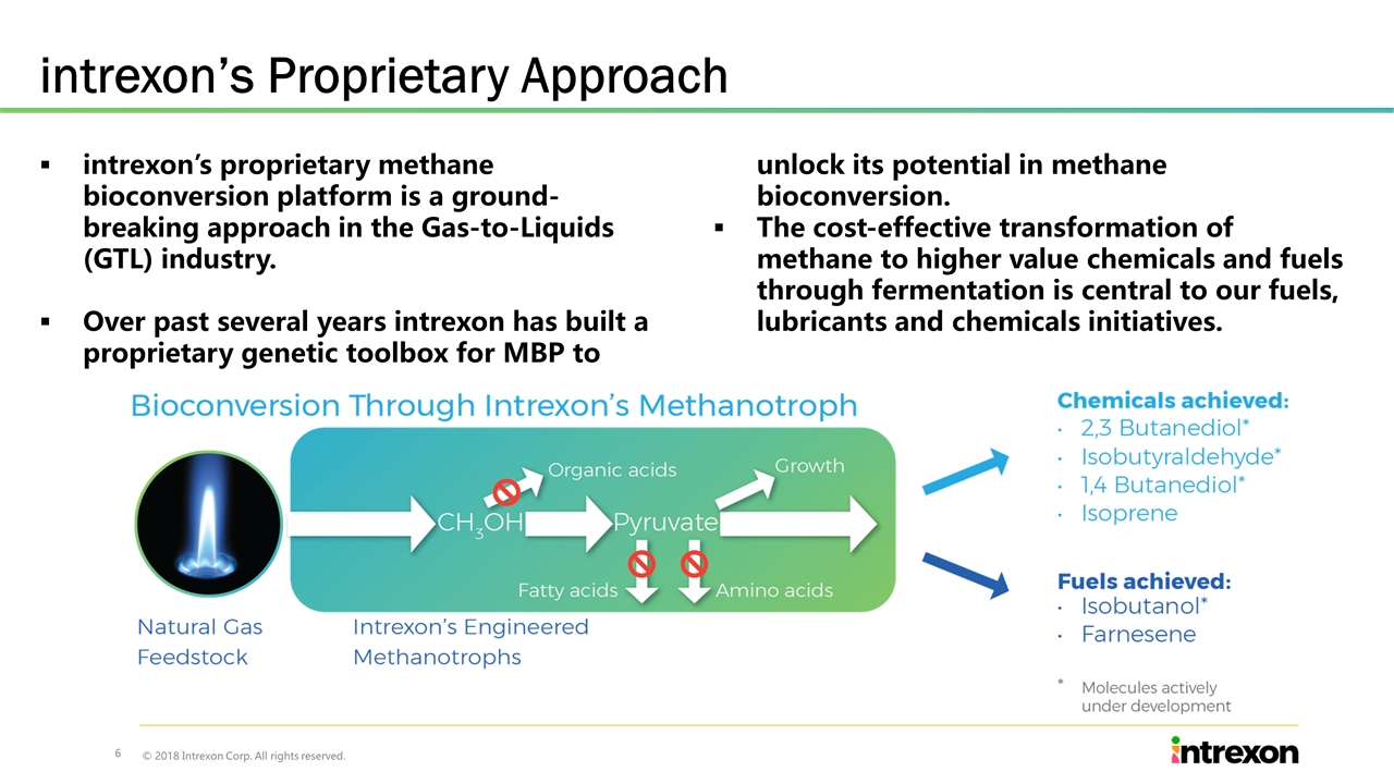 Slide 6