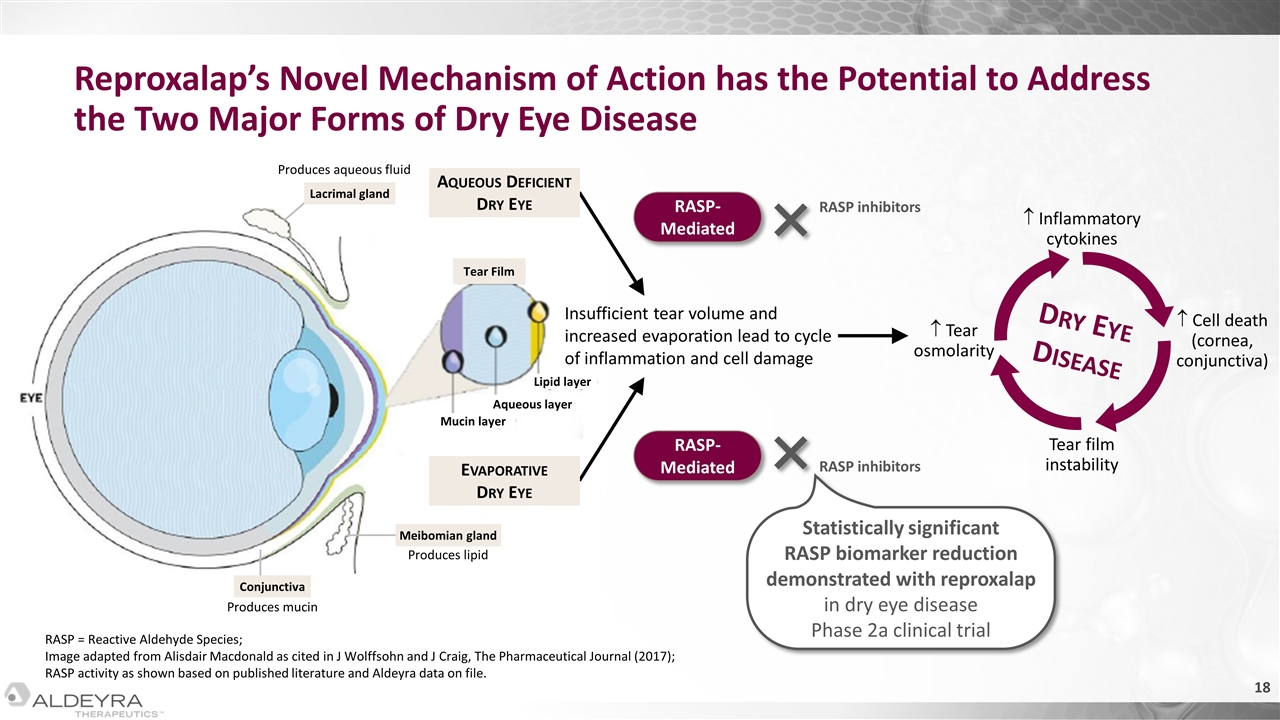 Slide 18