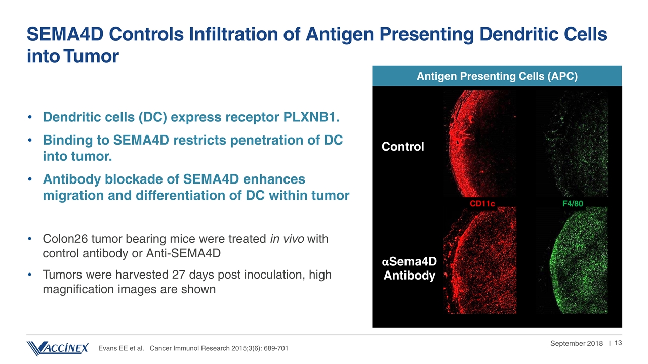 Slide 13