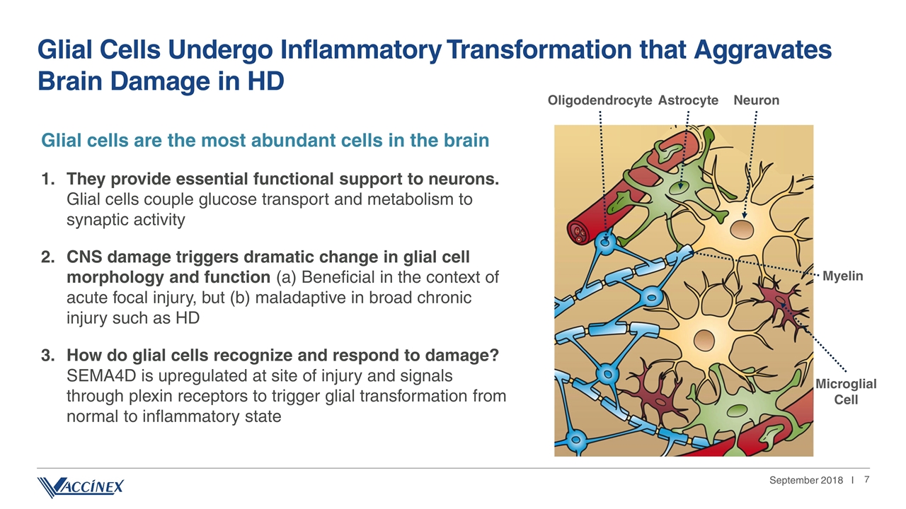 Slide 7