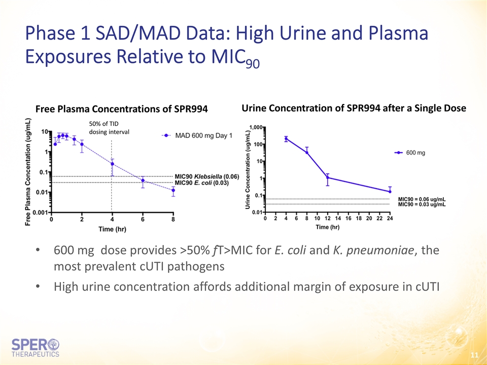 Slide 11