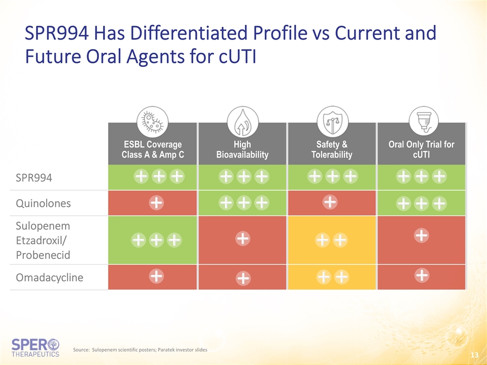 Slide 13