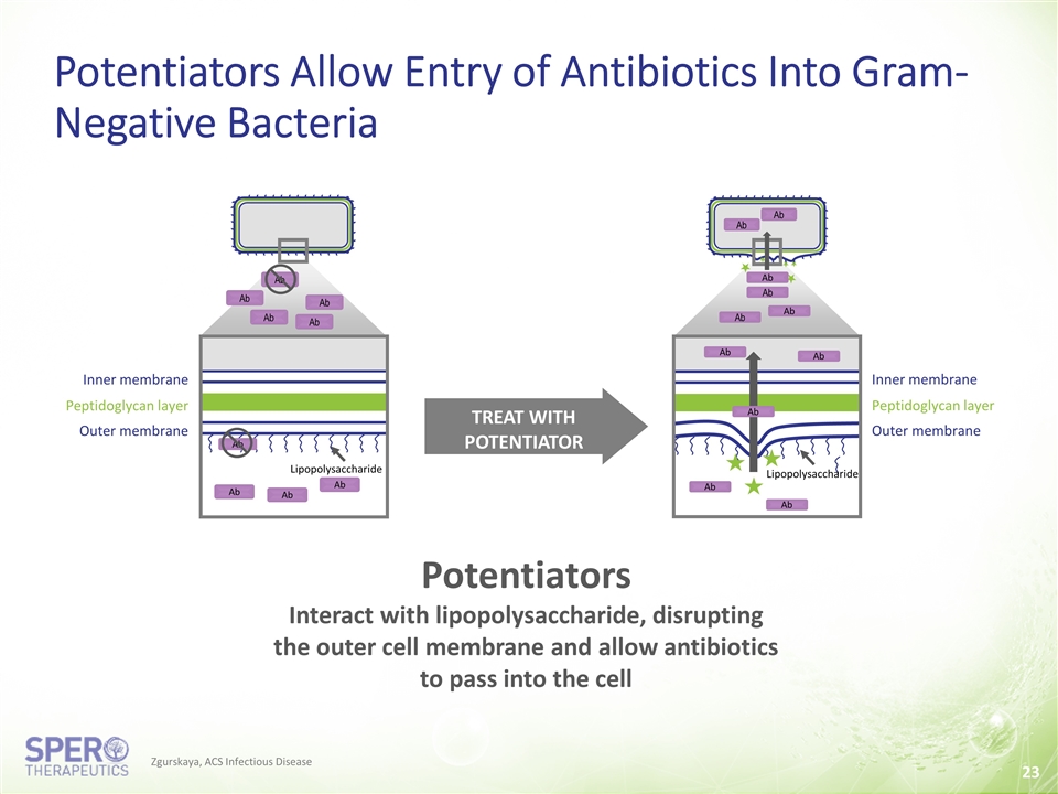 Slide 23