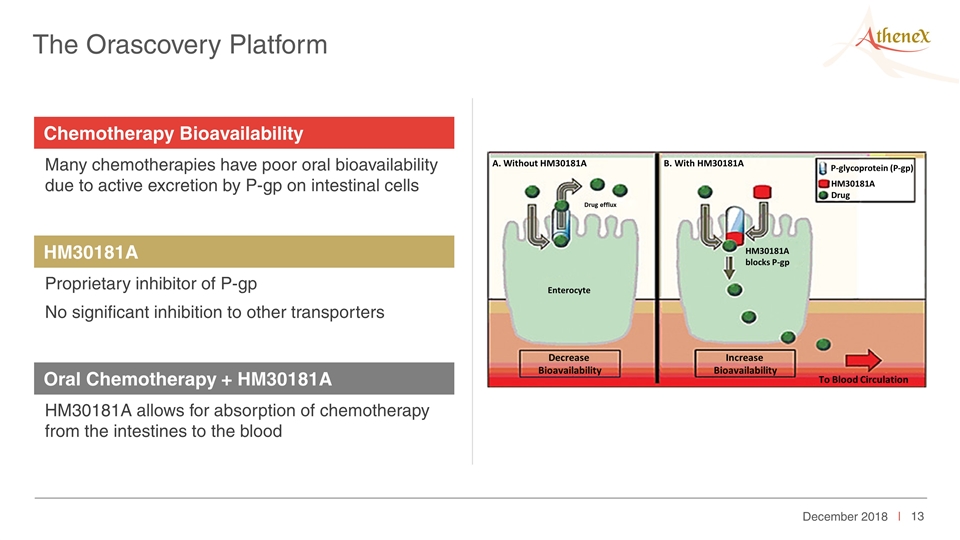 Slide 13