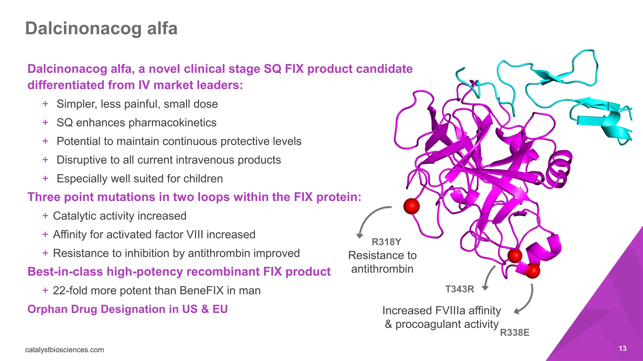 Slide 13