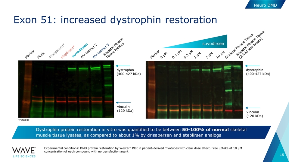 Slide 15