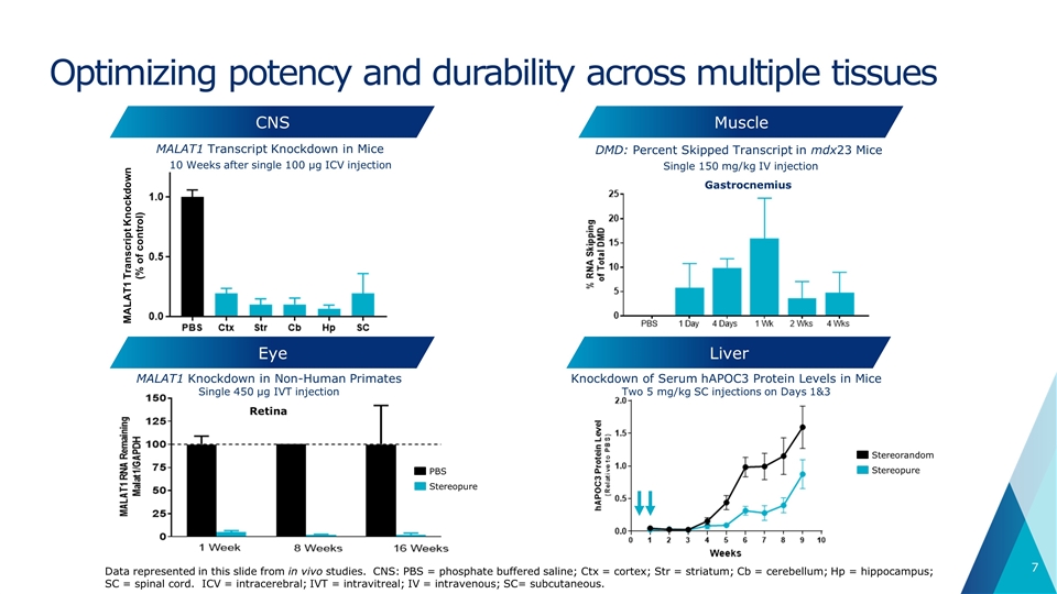 Slide 7