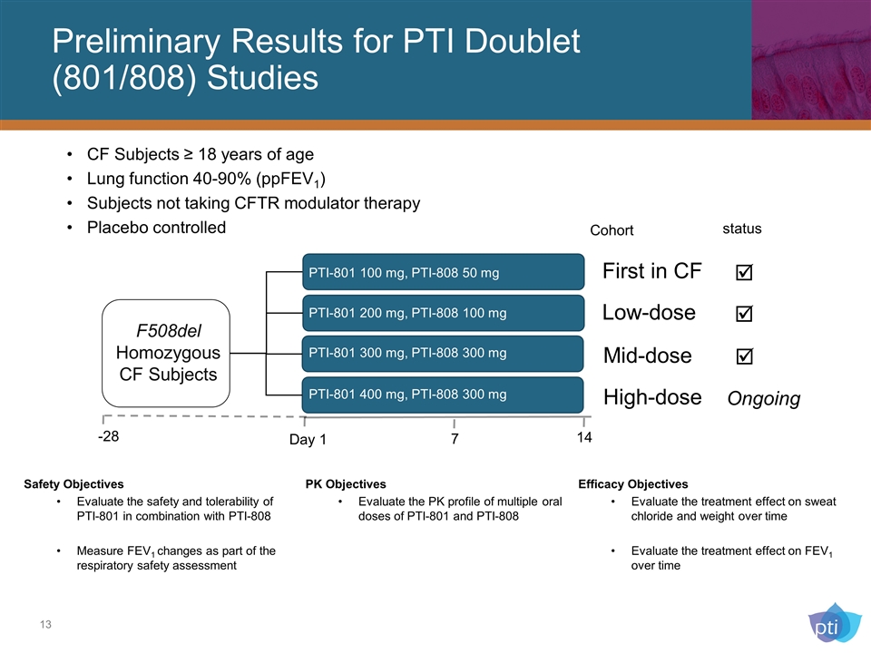 Slide 13