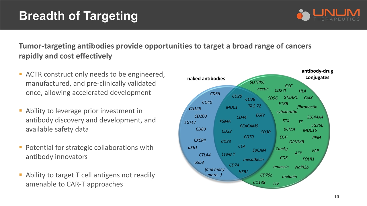 Slide 10