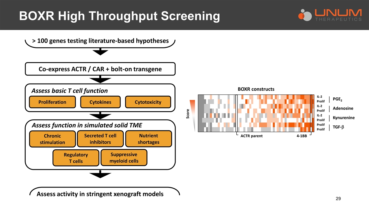 Slide 29