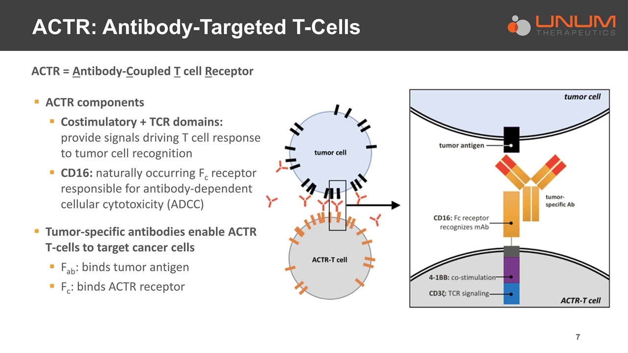 Slide 7