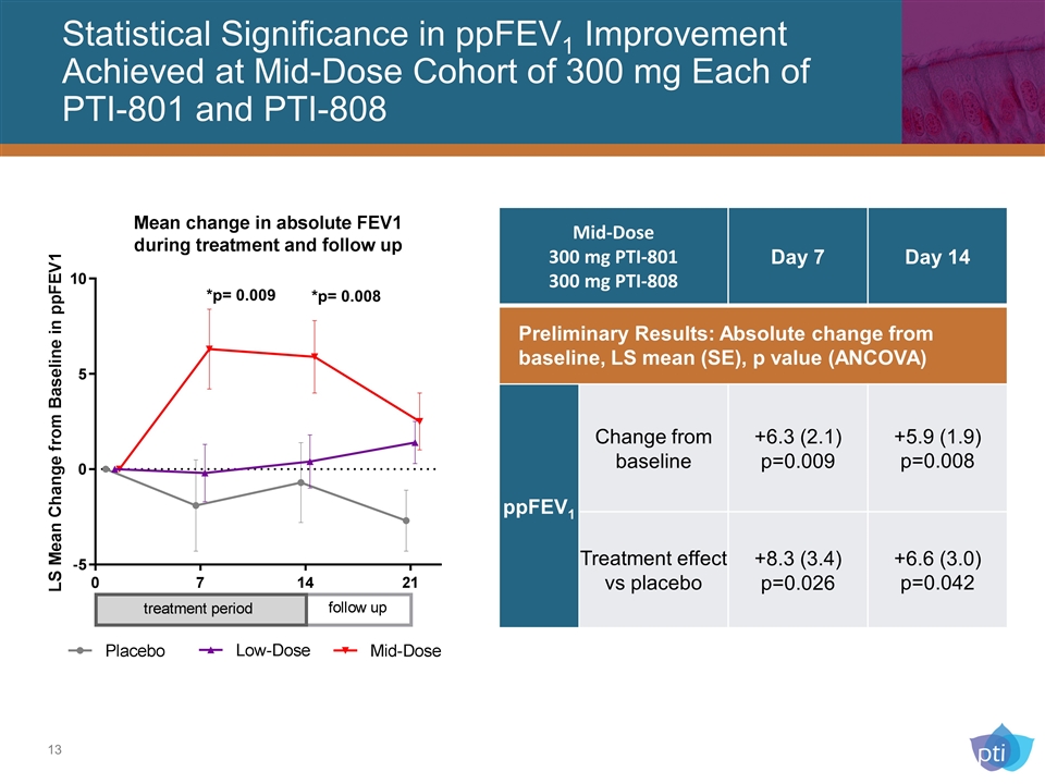 Slide 13