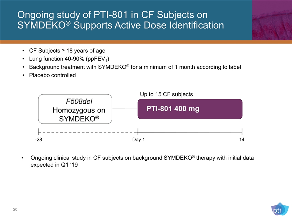 Slide 20