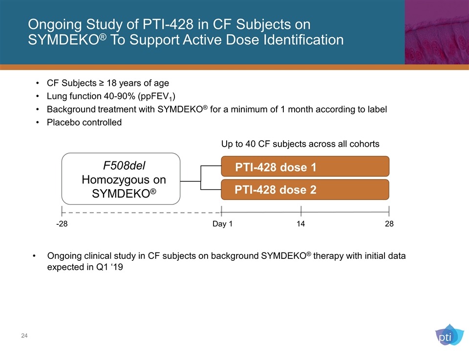 Slide 24