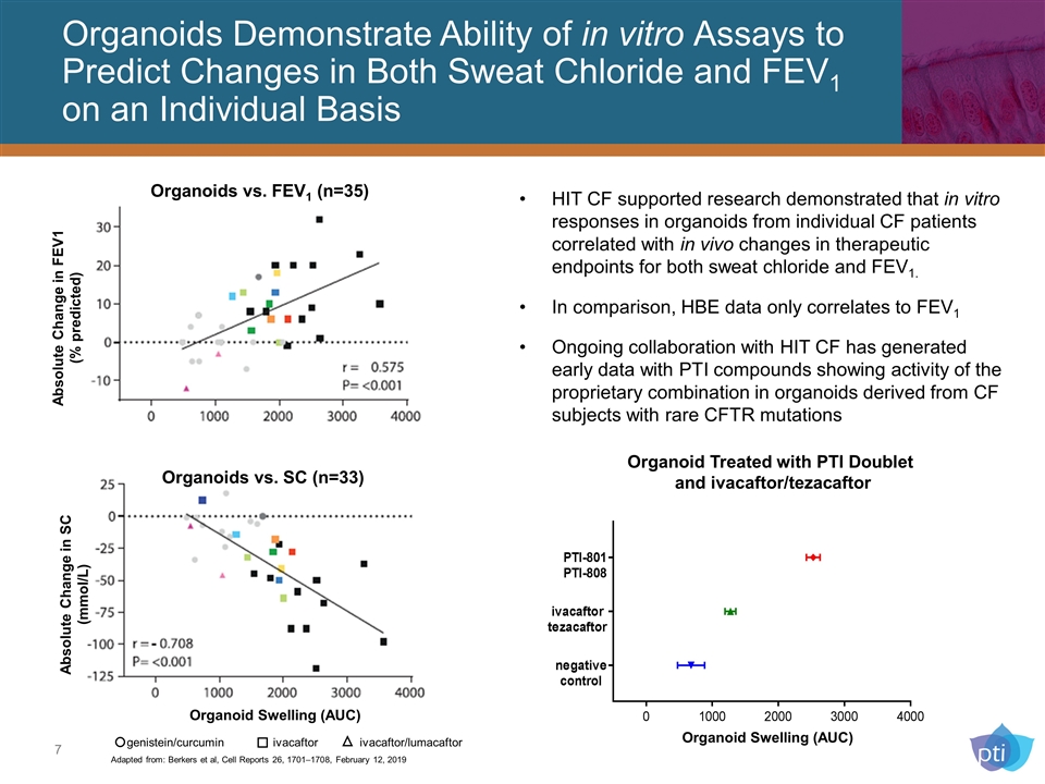 Slide 7