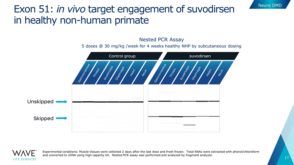 Slide 17