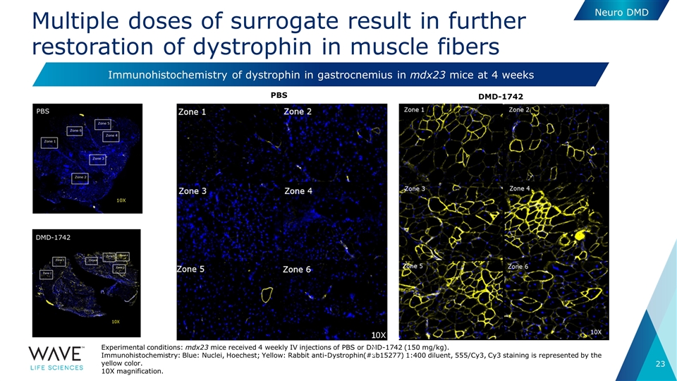 Slide 23