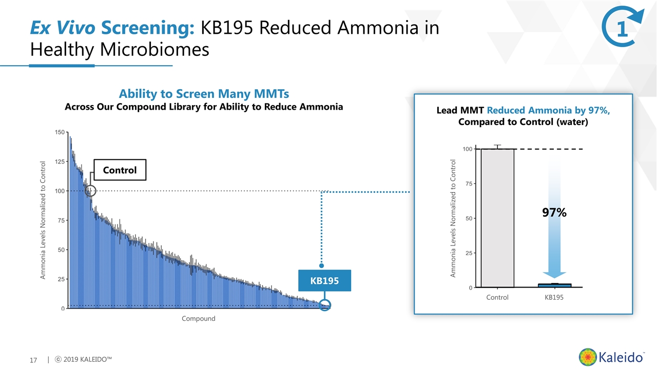 Slide 17