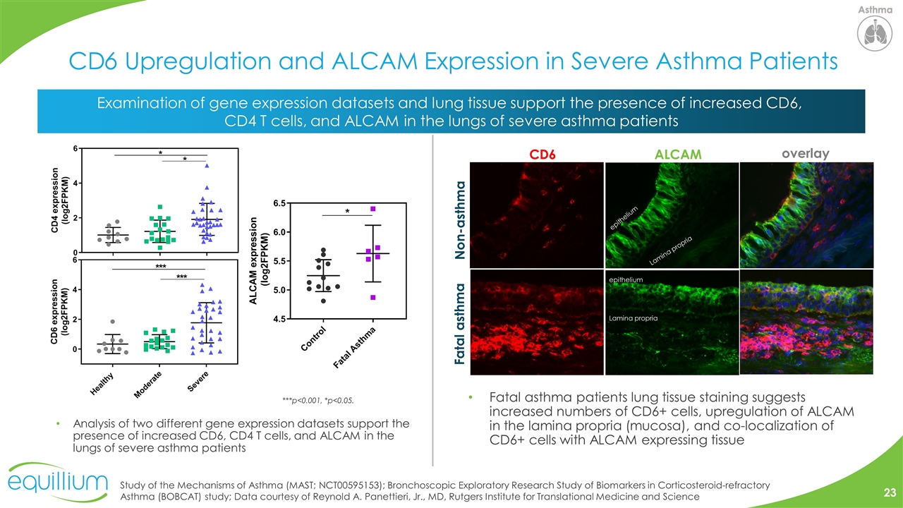 Slide 23