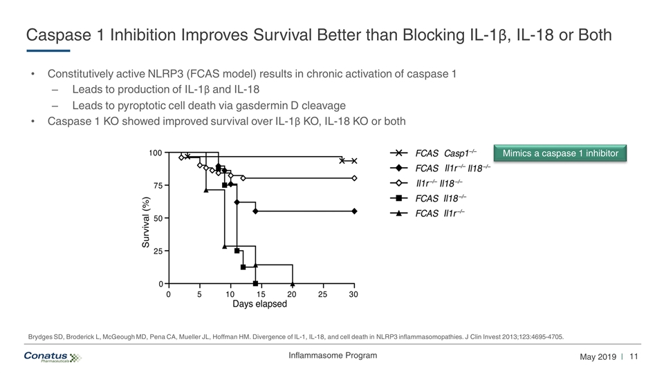 Slide 11