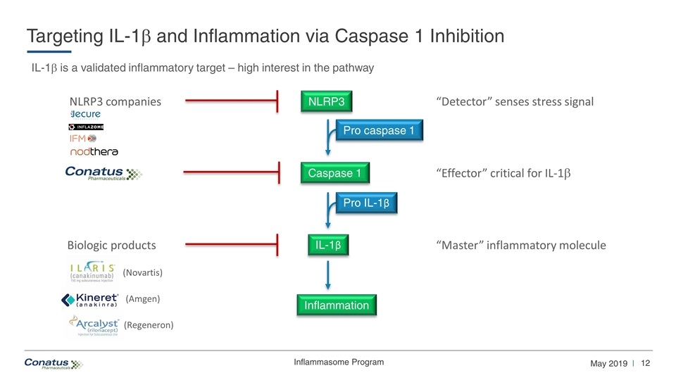 Slide 12