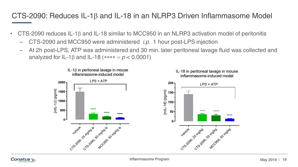 Slide 19