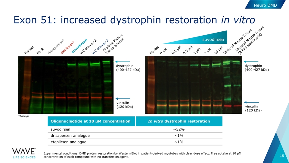 Slide 15