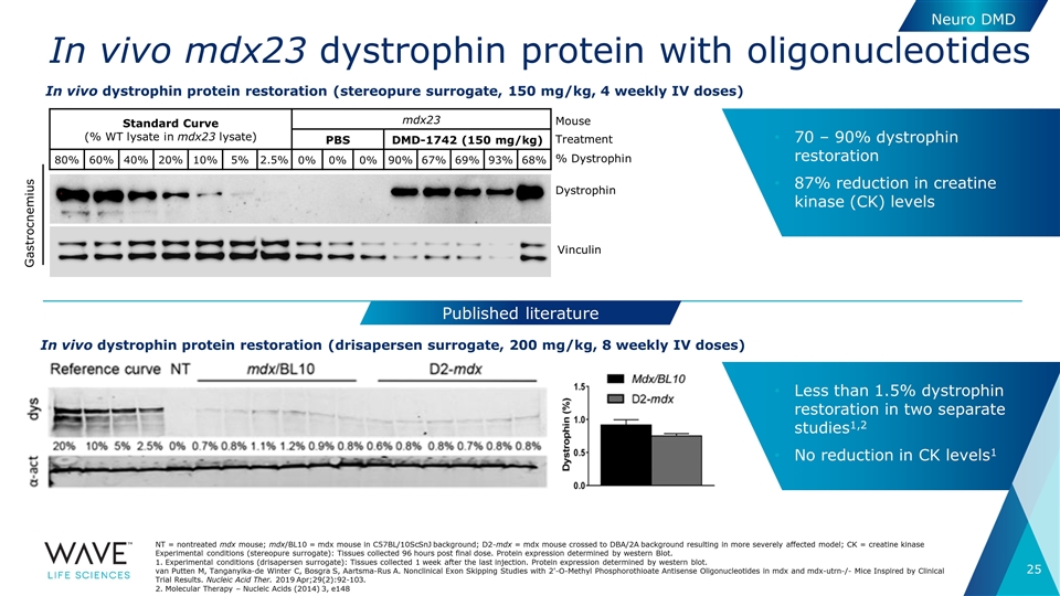 Slide 25