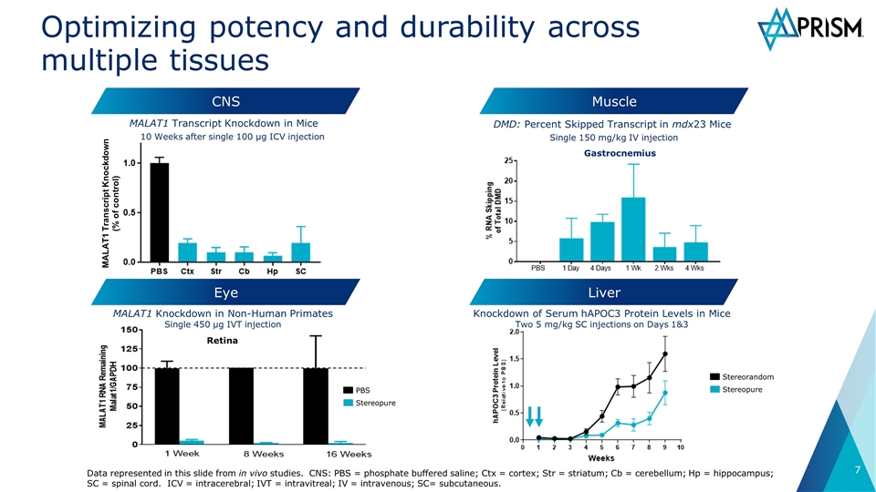 Slide 7