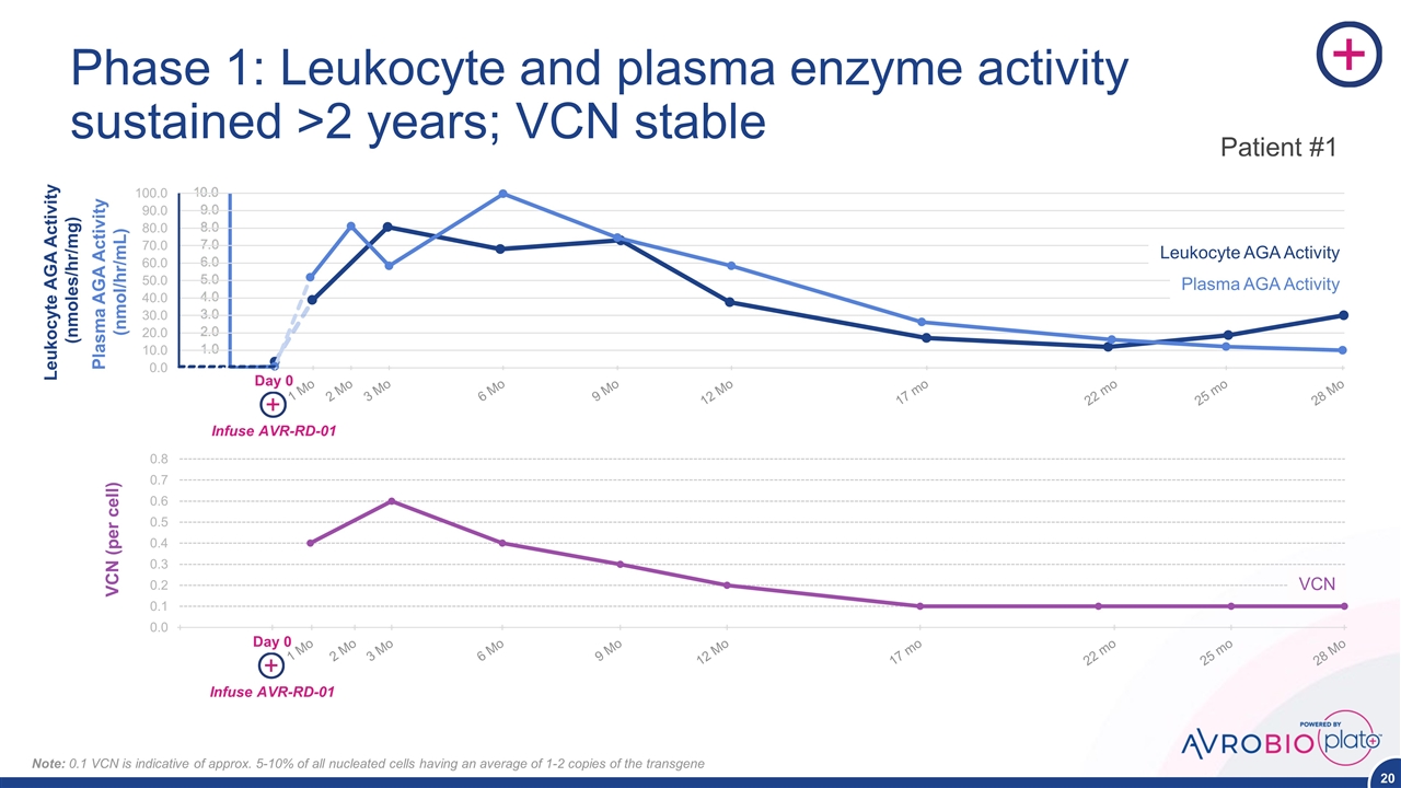 Slide 20