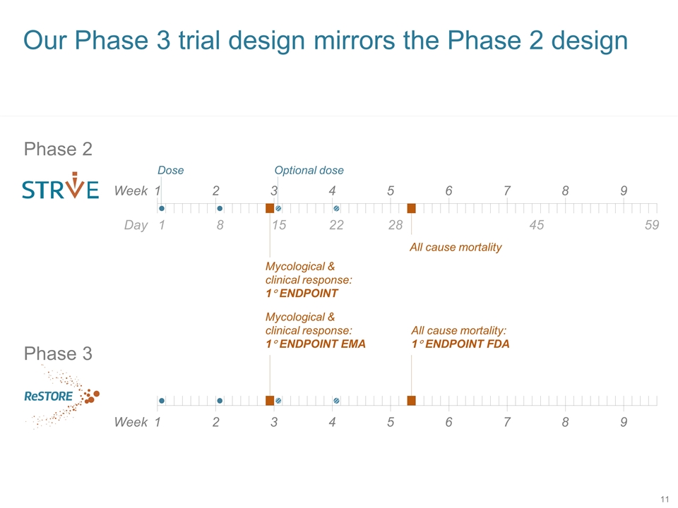 Slide 11