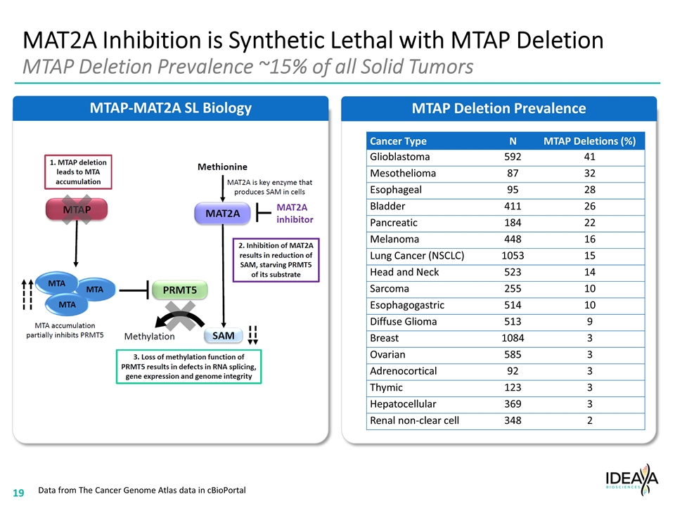 Slide 19