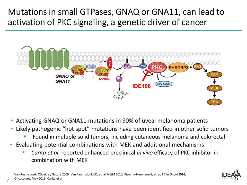 Slide 7