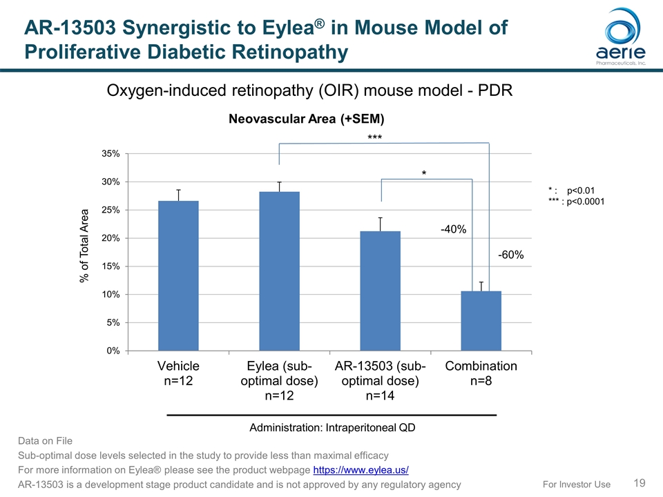 Slide 19