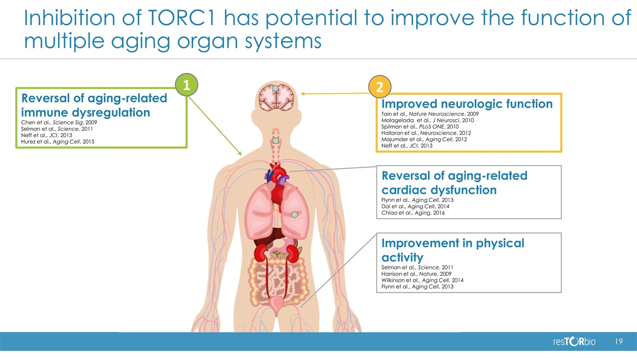 Slide 19