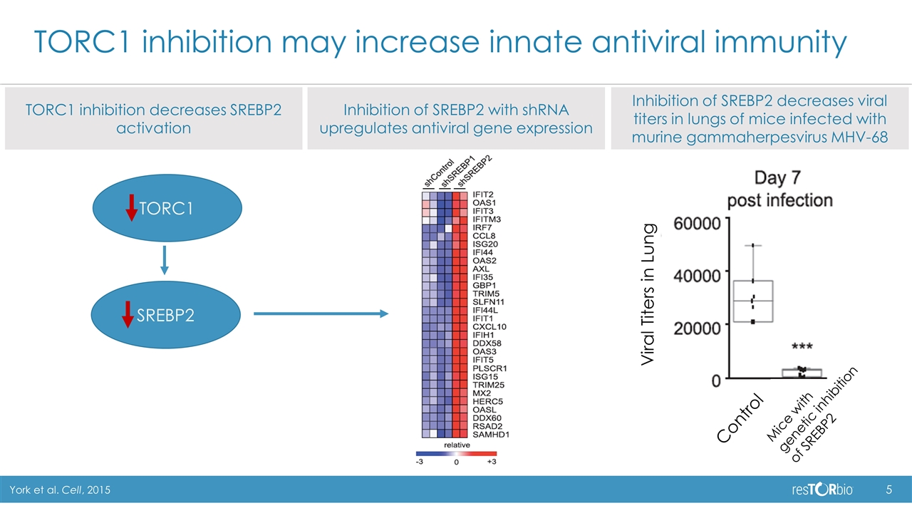 Slide 5