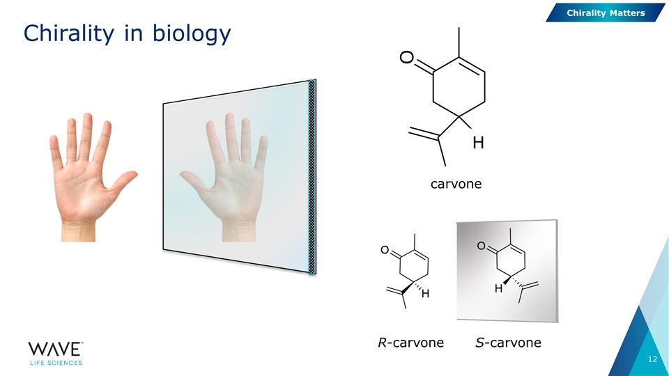 Slide 12