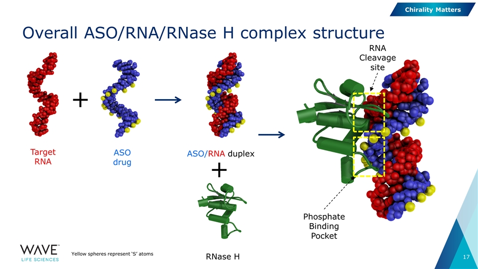 Slide 17