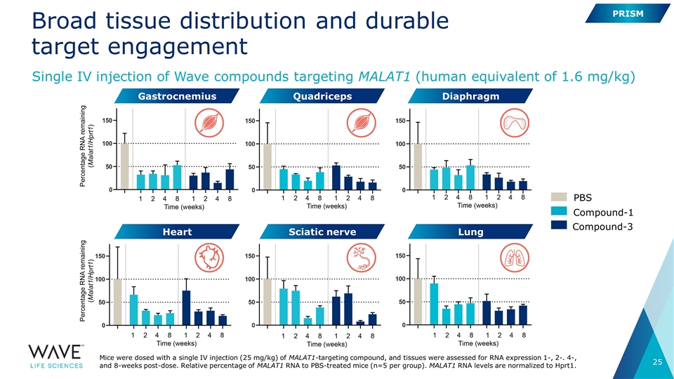 Slide 25