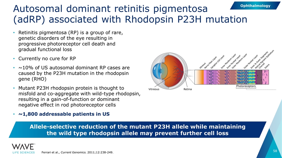 Slide 58