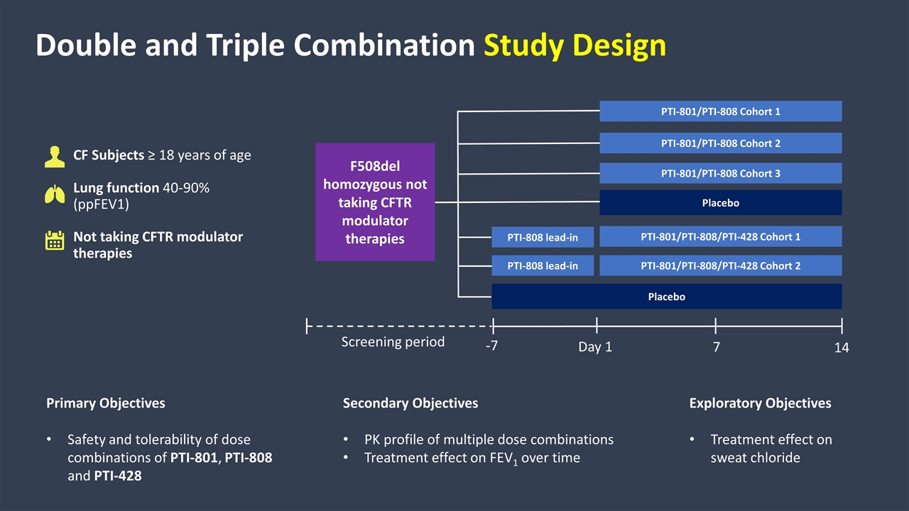 Slide 5