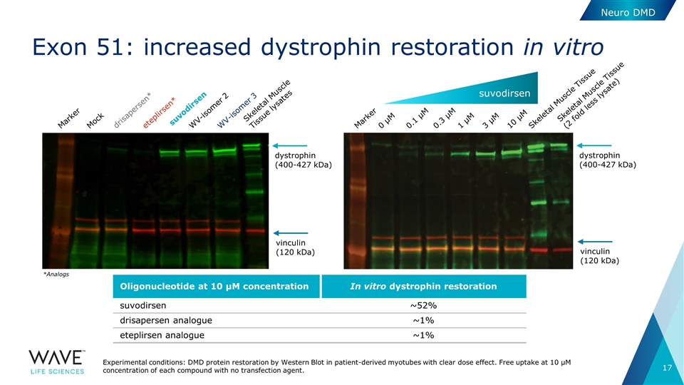 Slide 17