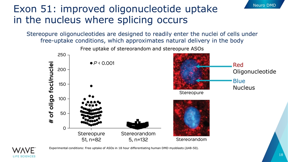 Slide 18