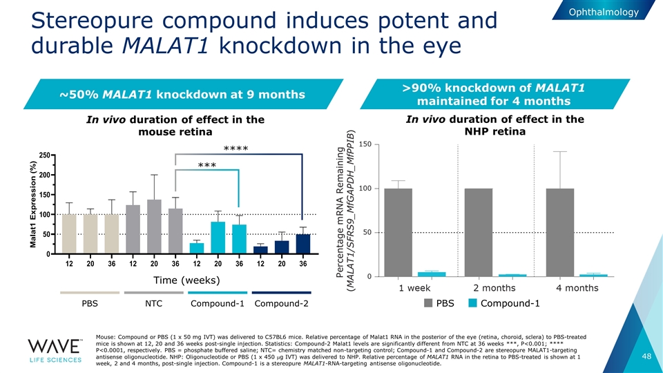 Slide 48