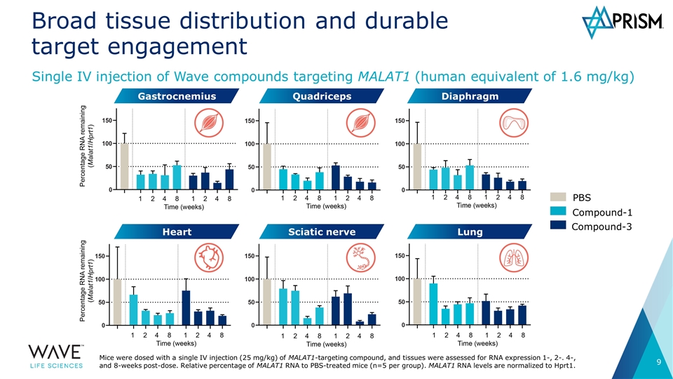 Slide 9